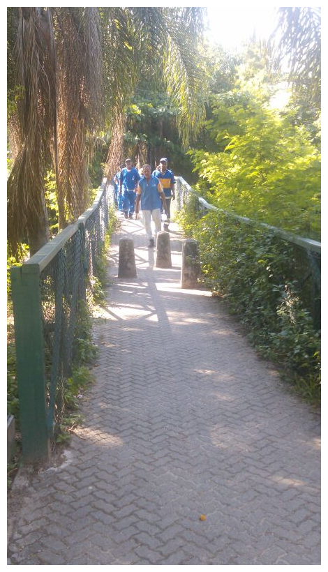 pontes de pedestres, de madeira, localizadas em frente as Ruas Cl�vis Salgado e Amaro Nim Ferreira